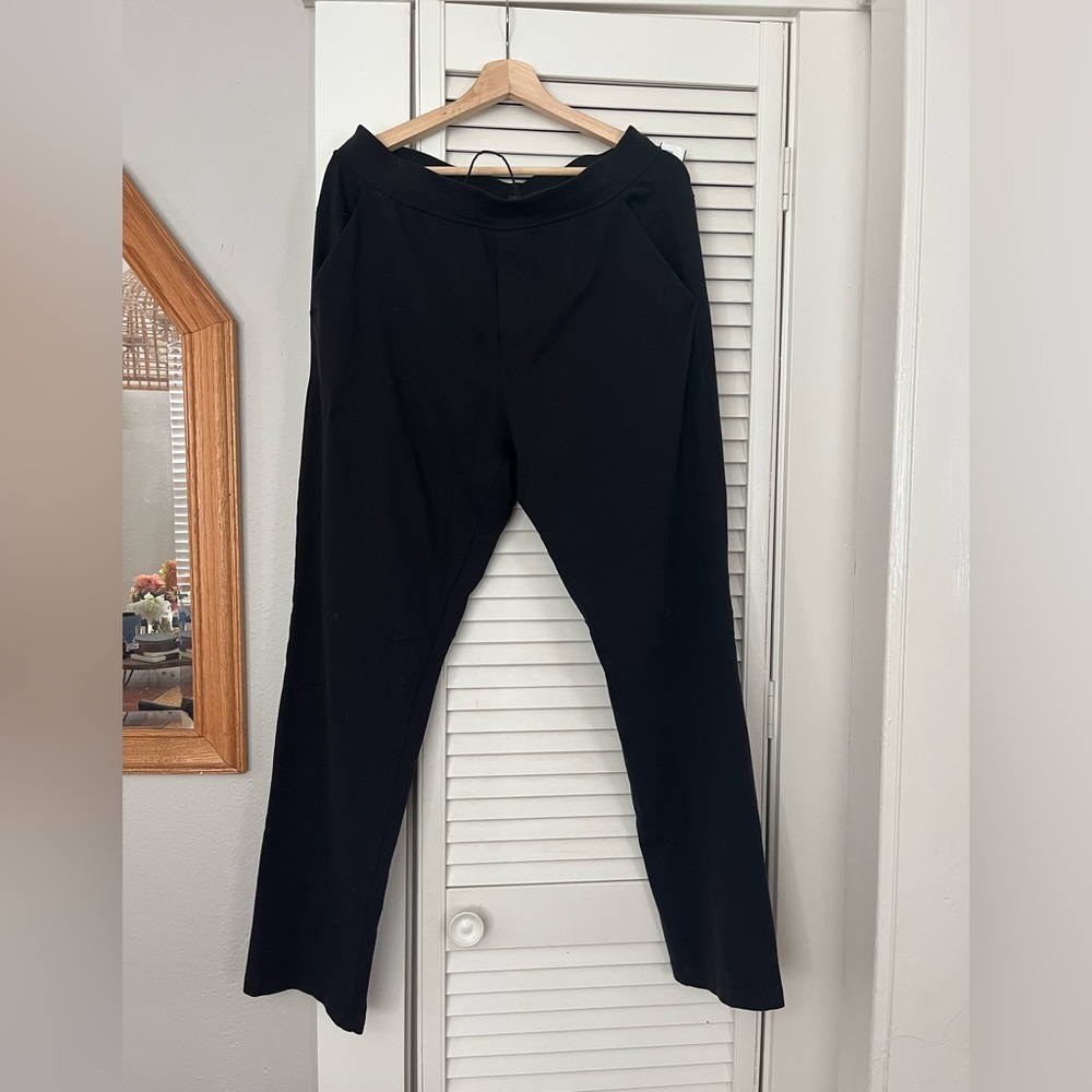 Steady State Pant